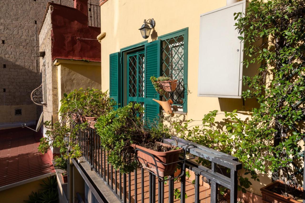 Colored House Until 7 People Above Sqplebiscito نابولي المظهر الخارجي الصورة